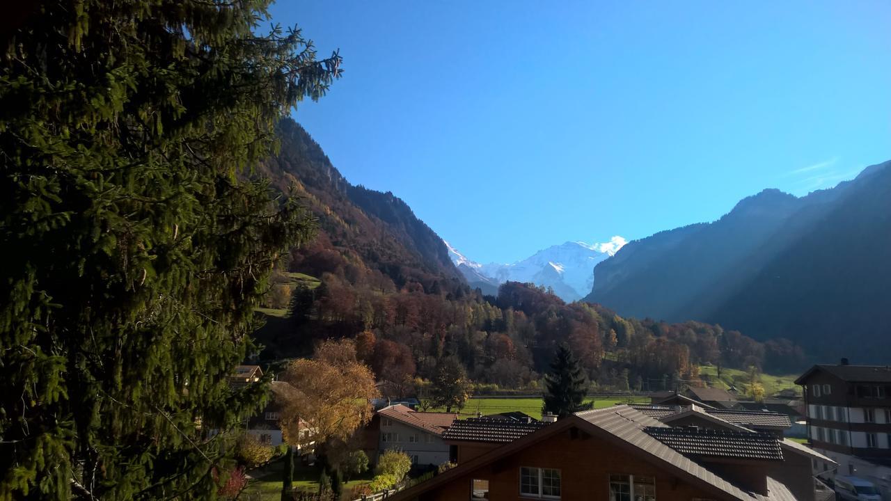 Edelweiss Lodge Wilderswil Cameră foto