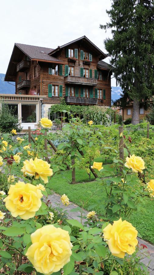 Edelweiss Lodge Wilderswil Exterior foto