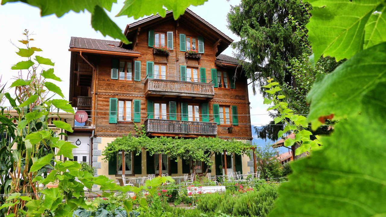 Edelweiss Lodge Wilderswil Exterior foto