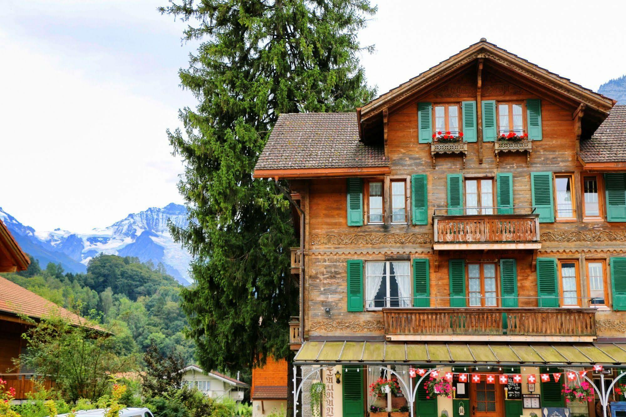 Edelweiss Lodge Wilderswil Exterior foto